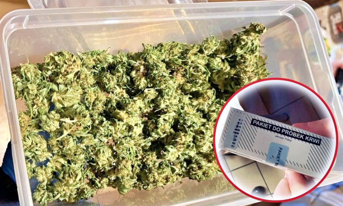 Prowadził pomimo zakazu. W aucie i mieszkaniu narkotyki