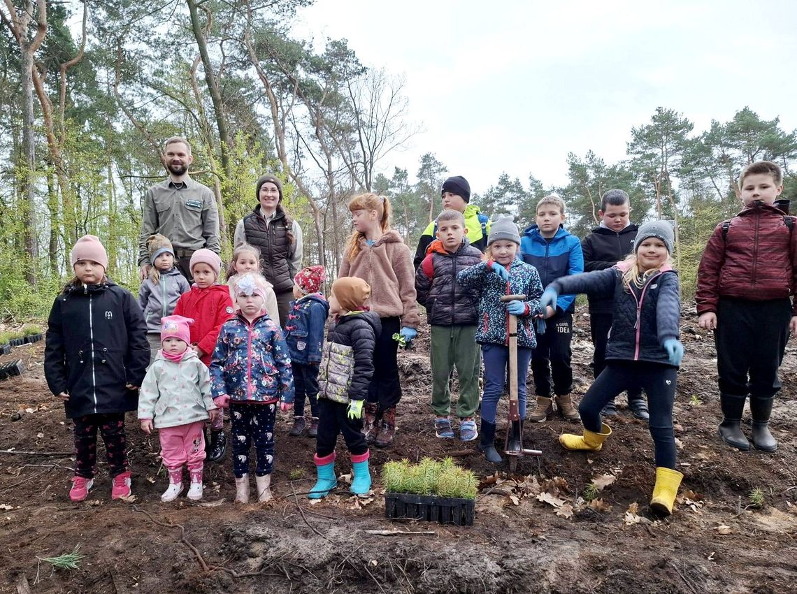 Przedszkolaki z miejscowości Maciowakrze sadziły las! ZDJĘCIA