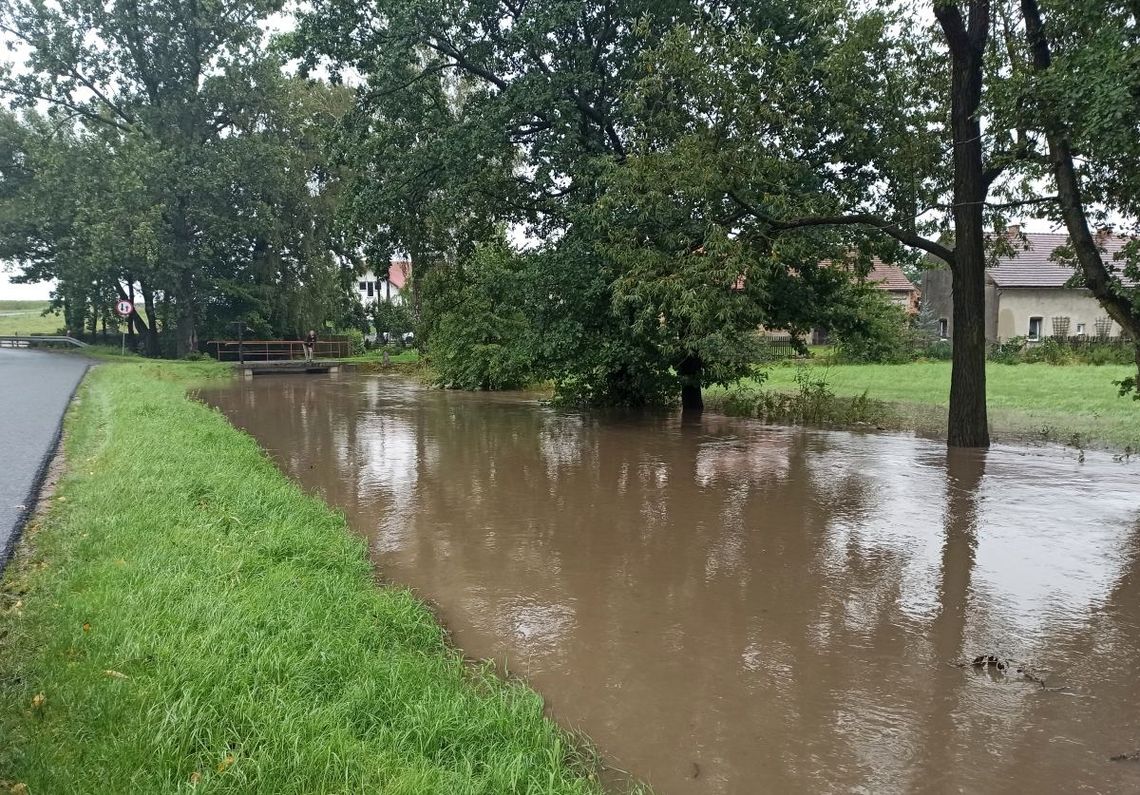 Przypomnienie ze strony GDDKiA ws. przepustów i wód deszczowych