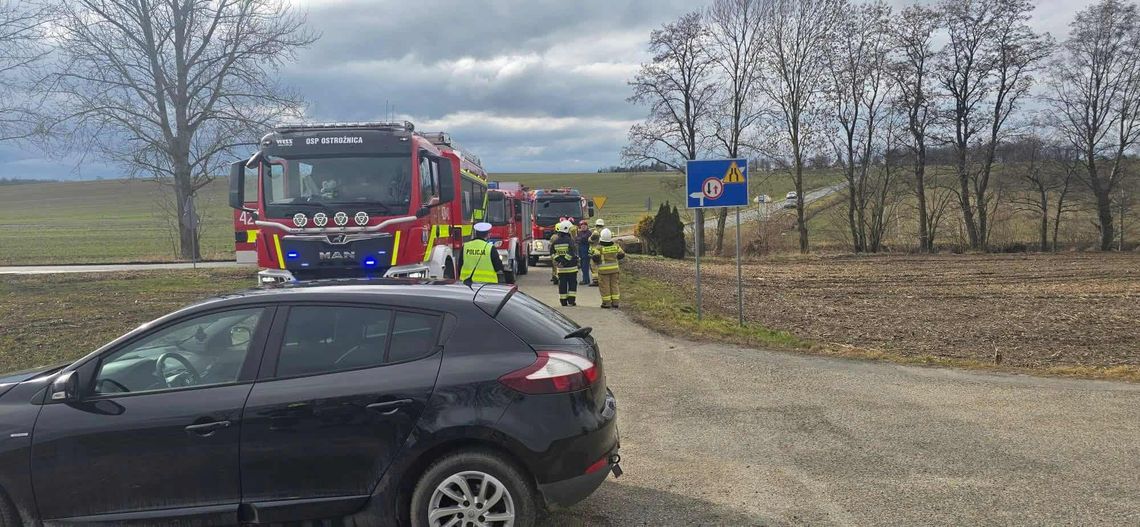 Renault w rowie. Na miejscu wszystkie służby ratunkowe