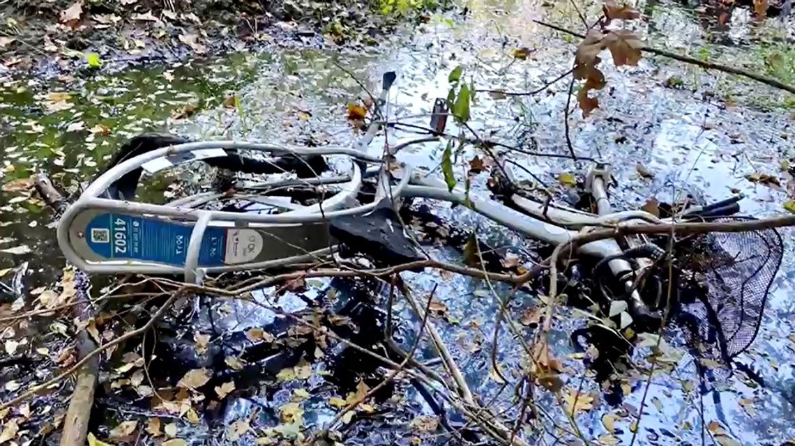 Rower miejski wylądował w leśnym jeziorku na os. Blachownia. FILM