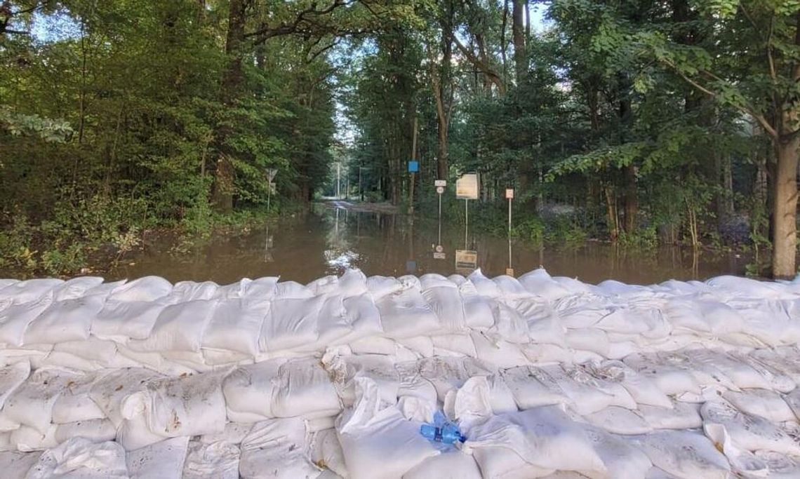 Rozstrzygnięto przetarg na budowę wału nad Odrą Lasaki – Poborszów