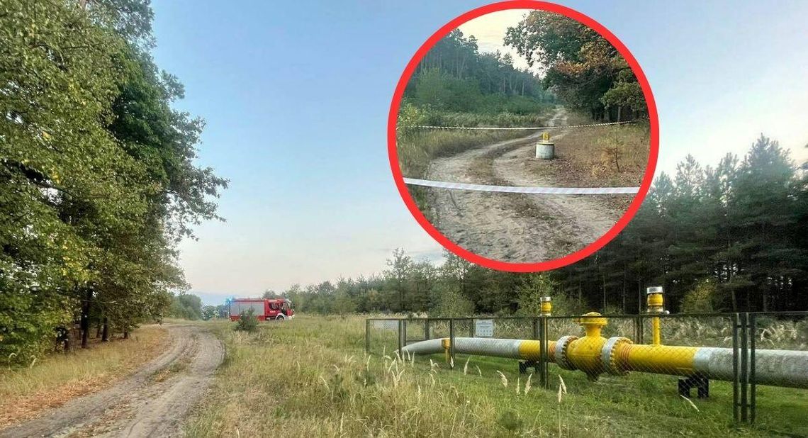 Rozszczelnienie gazociągu. Zapach był wyczuwalny w lesie