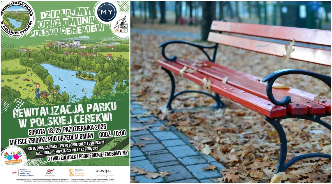 Rusza projekt "Park spacerowy" w Polskiej Cerekwi
