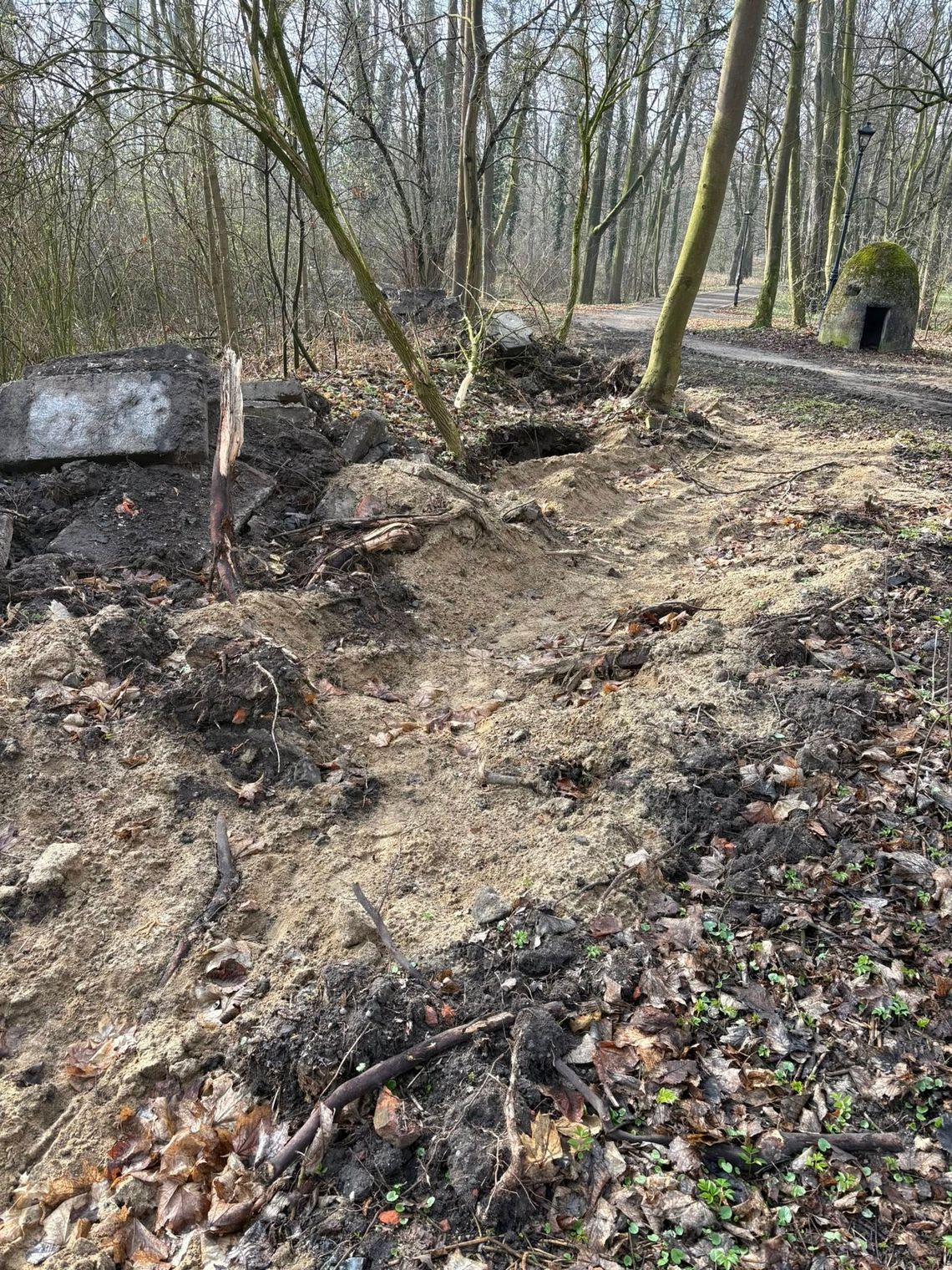 Ruszyła rewitalizacja sławięcickiego parku. Czy nadzór konserwatorski trzyma rękę na pulsie? Ruszyła rewitalizacja sławięcickiego parku. Czy nadzór konserwatorski trzyma rękę na pulsie?