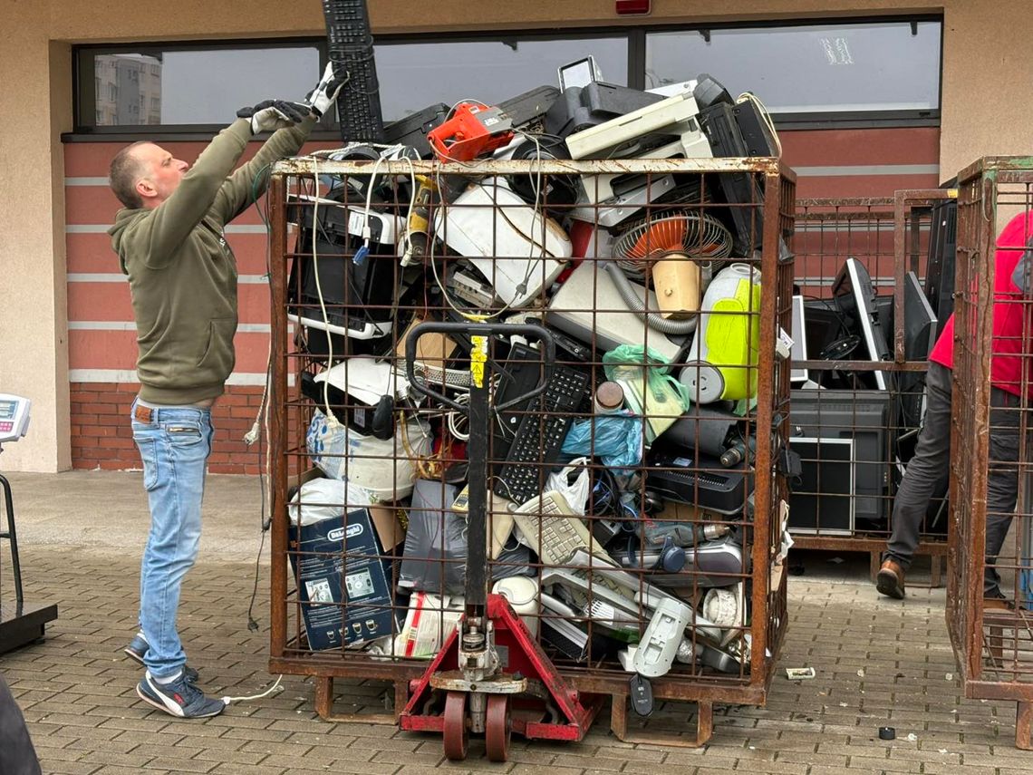 Sadzonki za elektroodpady. Akcja "Czystego Regionu" ma wzięcie