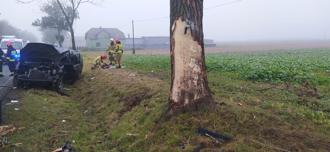 Samochód uderzył w drzewo. 18-letnia kierująca trafiła do szpitala