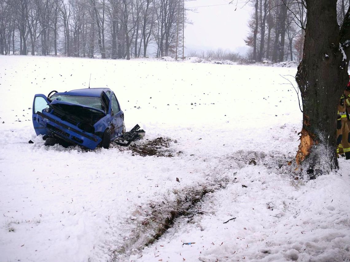 Samochód uderzył w drzewo. Poszkodowana została kobieta