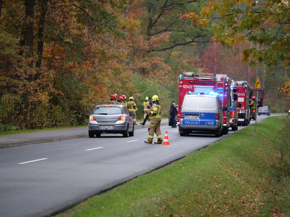 Samochód wypadł z drogi. Na miejscu wszystkie służby ratunkowe