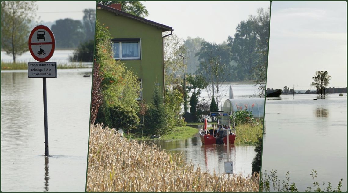 Dom w Lubieszowie niczym na wyspie. Dookoła tylko woda. ZDJĘCIA