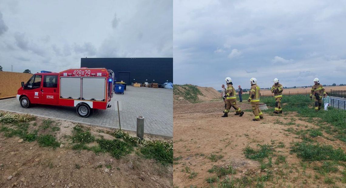 Sarna w pułapce wodnej. Strażacy z OSP Pokrzywnica i OSP KSRG Większyce ruszyli na ratunek Sarna w pułapce wodnej. Strażacy z OSP Pokrzywnica i OSP KSRG Większyce ruszyli na ratunek