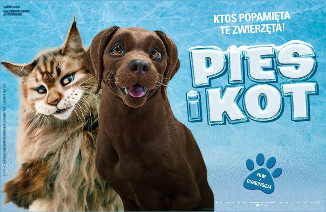 Seans filmu "Pies i Kot" w letnim kinie plenerowym