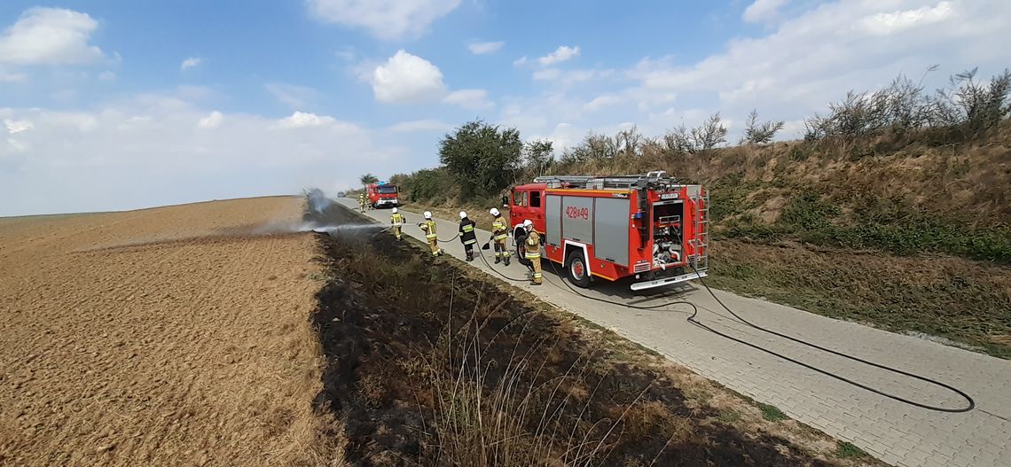 Seria pożarów w gminie Polska Cerekiew. Strażacy gasili pożar trzy razy w ciągu jednego dnia