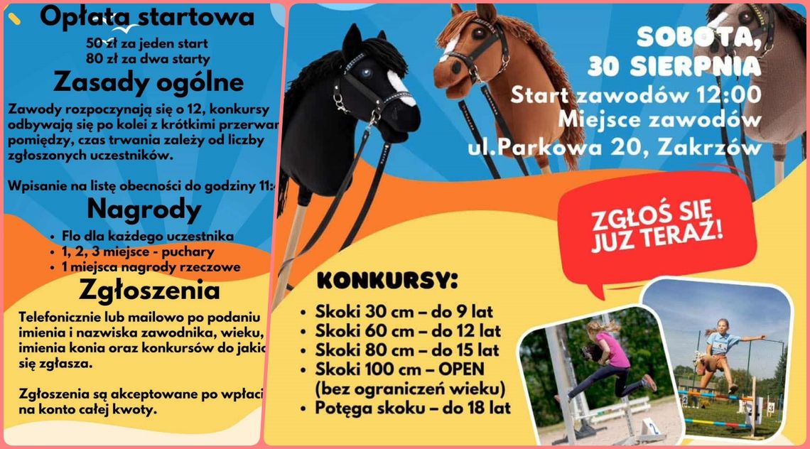 Skoki, rywalizacja i świetna zabawa. Zawody Hobby Horse w sobotę w GOSiR w Zakrzowie