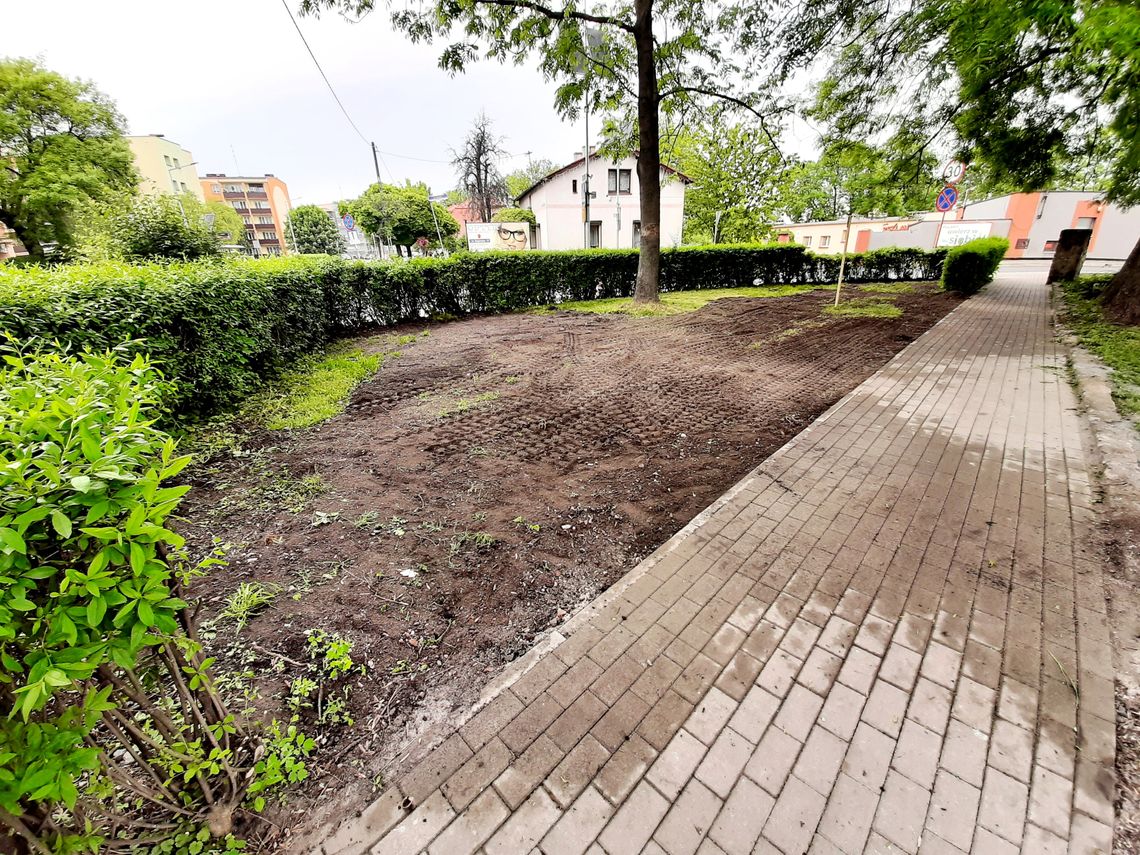 Skwerek na rogu ulic Gazowej i Piastowskiej wypięknieje
