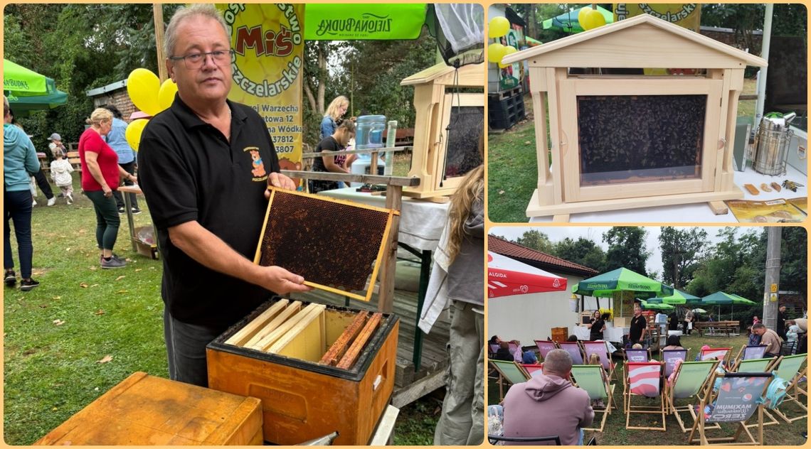 Słodka lekcja w Sławięcicach - poznawano tajemnice pszczół. ZDJĘCIA