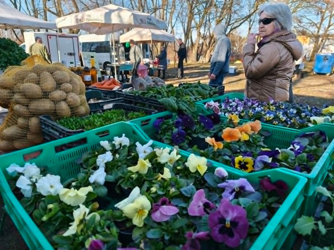 Smaki, które warto zabrać do domu. Straganik znów w Kędzierzynie!