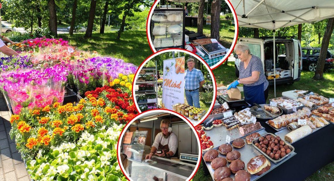 Straganek przy kinie Chemik już w czwartek. Będzie "Przystanek u Franka" oraz lokalni producenci