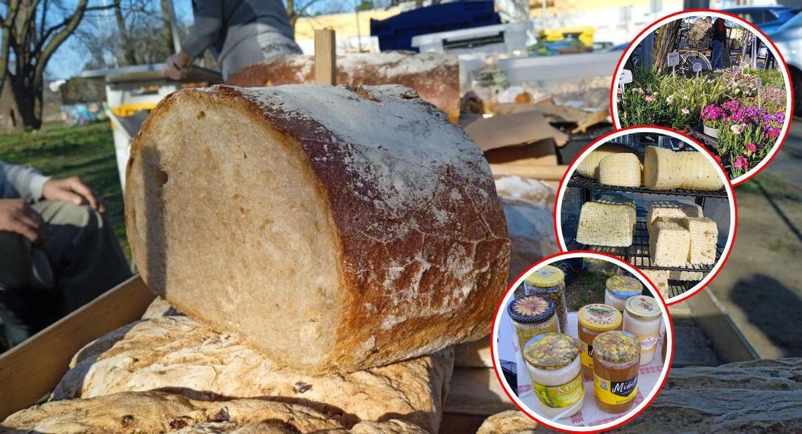 Straganek znów w Kędzierzynie! Zdrowa żywność już w czwartek przy kinie Chemik