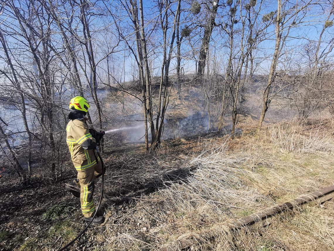 Strażacy apelują - nie wypalaj trawy! Strażacy apelują - nie wypalaj trawy!