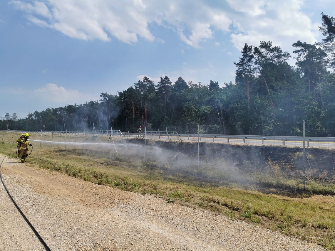 Strażacy gasili pożar trawy wzdłuż nowej obwodnicy
