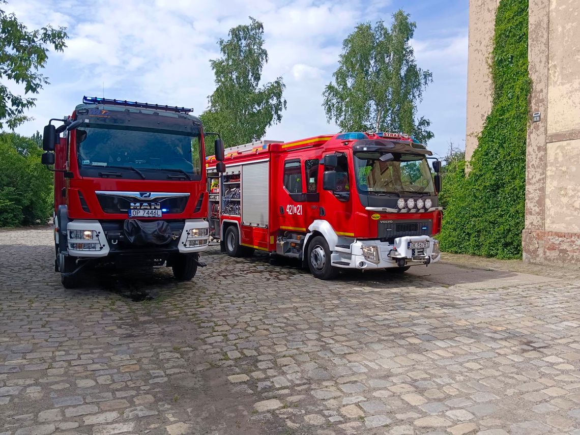 Strażacy interweniowali przy torach kolejowych. Zapaliła się trawa Strażacy interweniowali przy torach kolejowych. Zapaliła się trawa