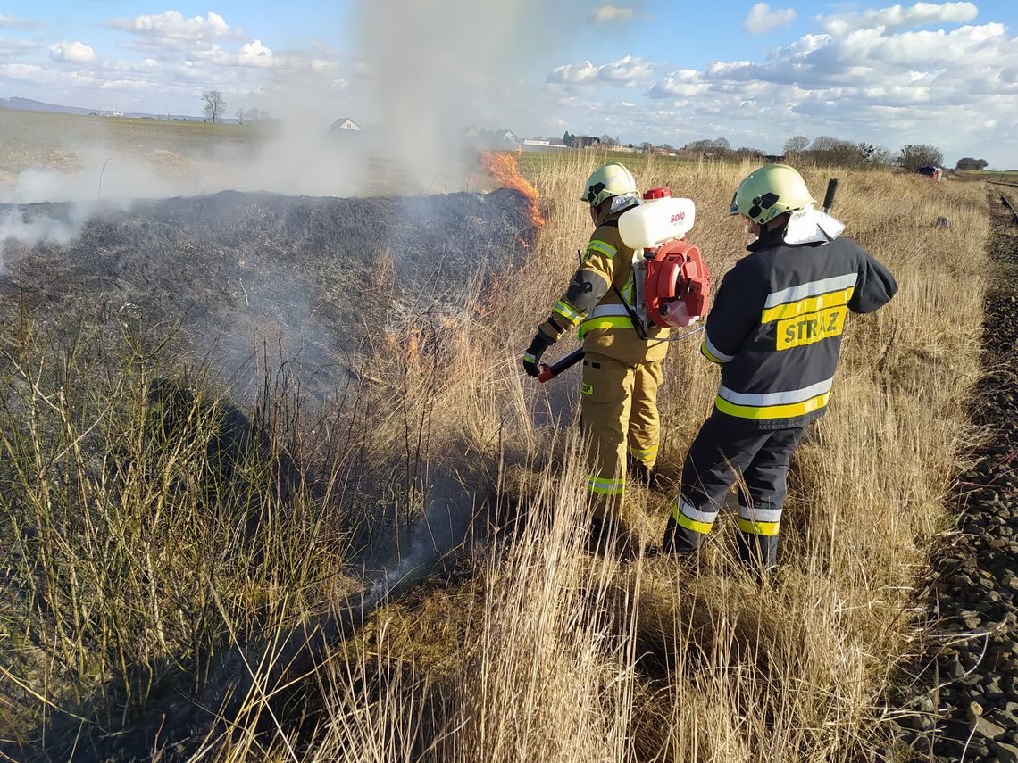 Strażacy interweniowali w Pokrzywnicy. Palił się nasyp kolejowy Strażacy interweniowali w Pokrzywnicy. Palił się nasyp kolejowy