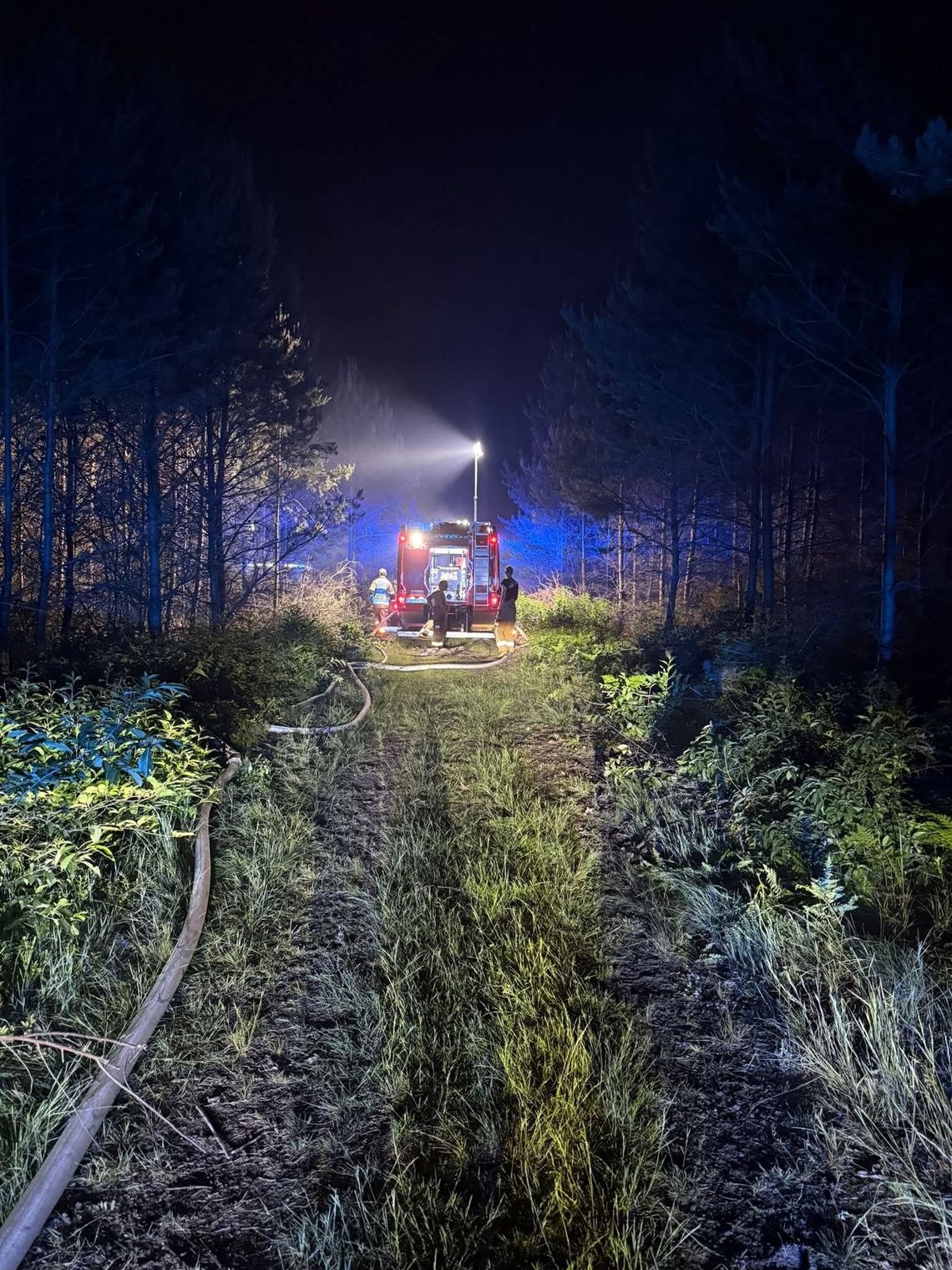 Strażacy podsumowali pożar lasu. W działaniach brały udział siły z całego powiatu Strażacy podsumowali pożar lasu. W działaniach brały udział siły z całego powiatu