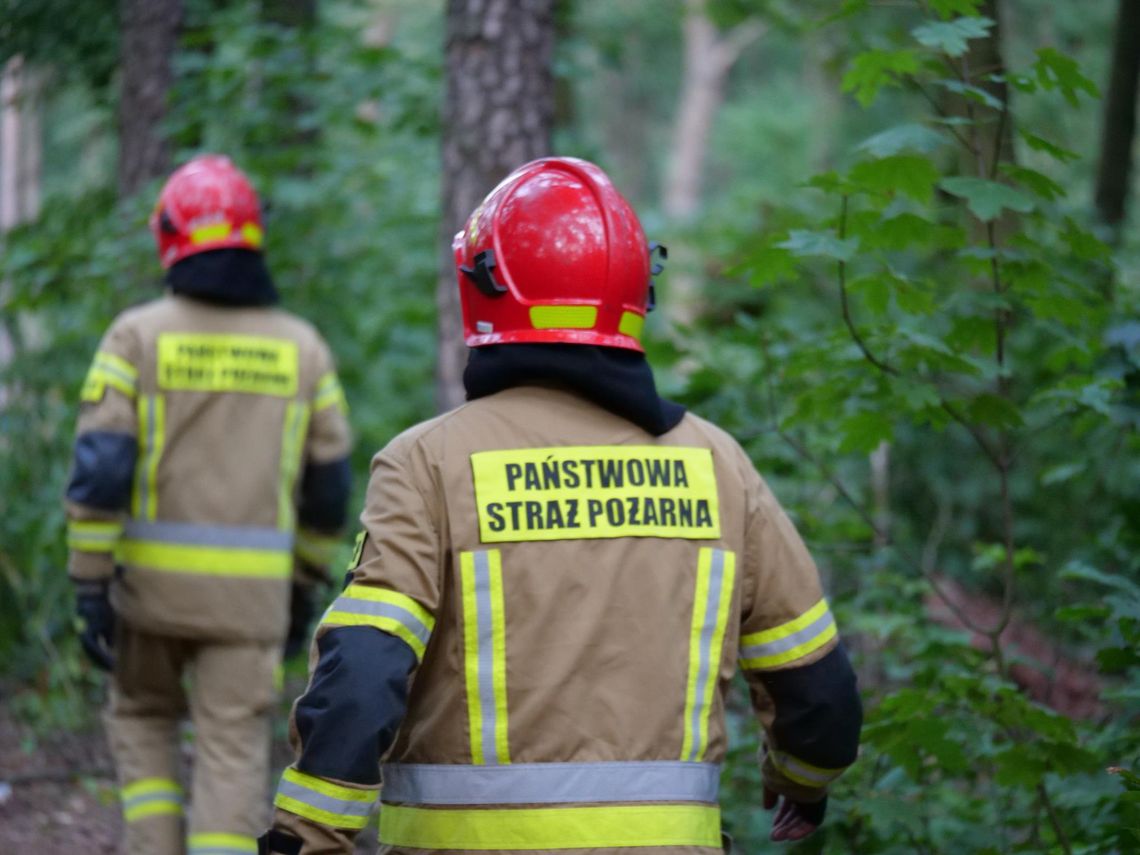 Strażacy wezwani do pożaru w lesie za krytą pływalnią