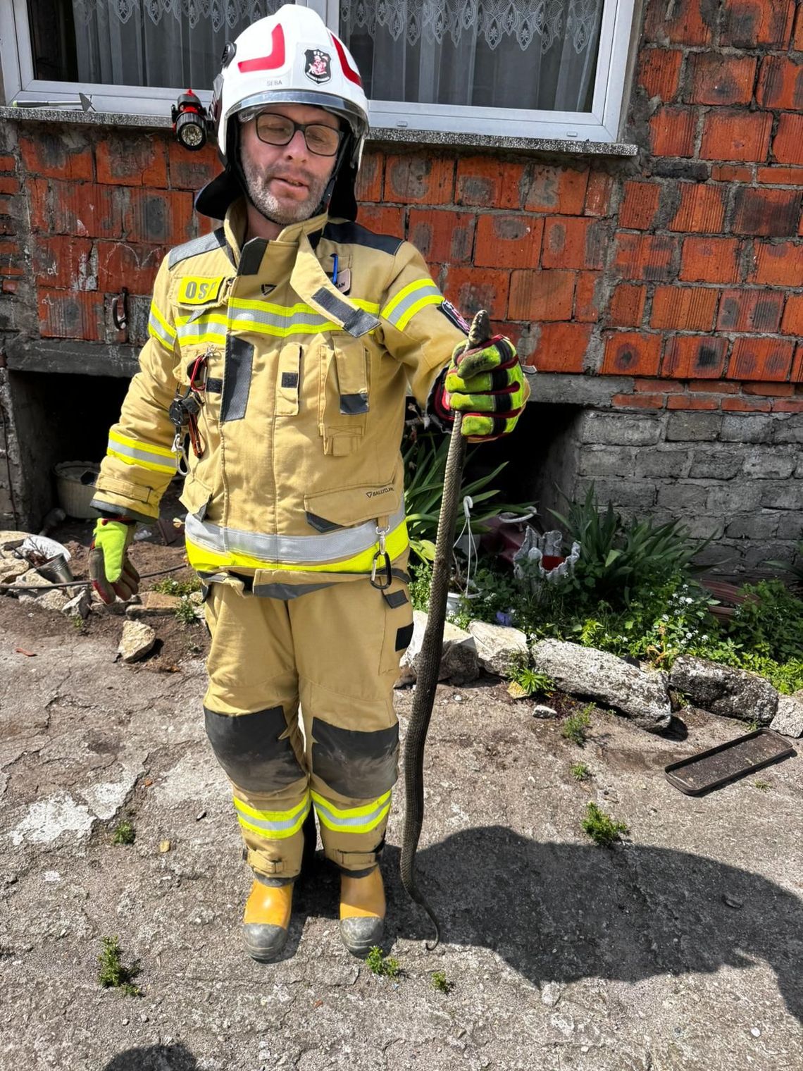 Strażacy wezwani do… węża! Interwencja OSP Mechnica Kamionka