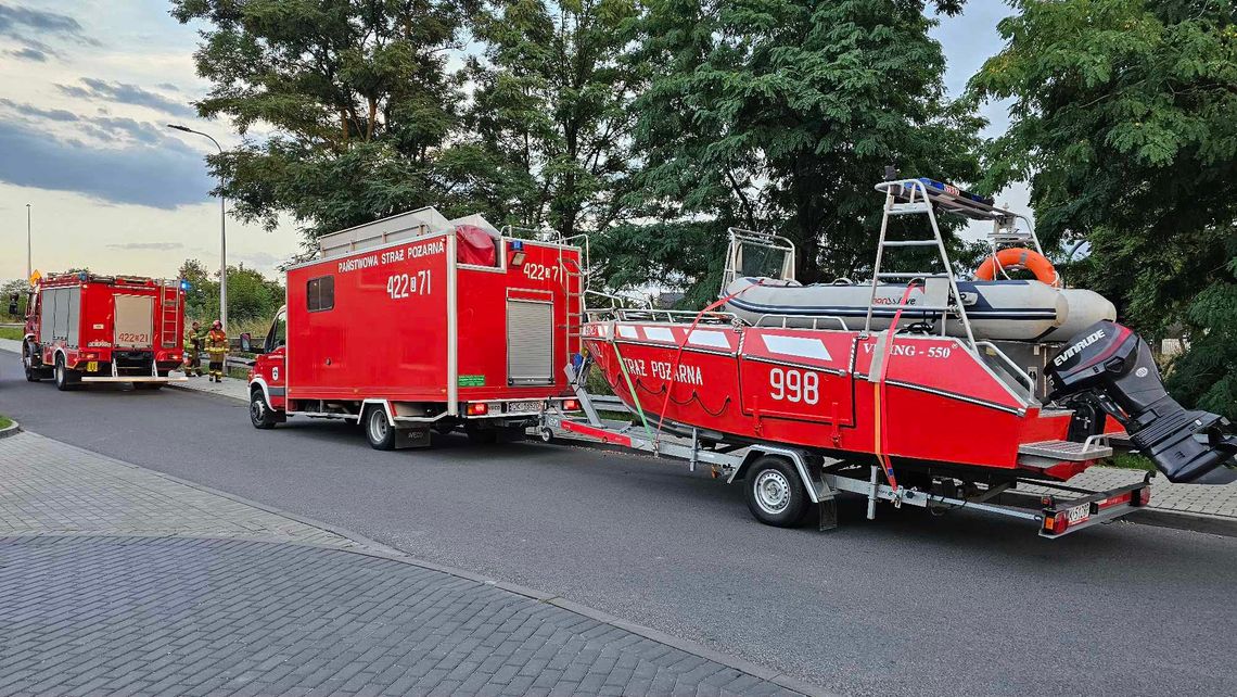 Strażacy wyłowili z rzeki sarnę. Niestety już nie żyła