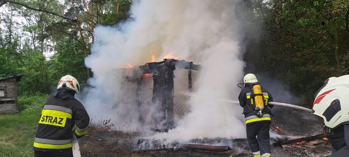 Strażacy z Kędzierzyna-Koźla interweniowali w Ujeździe