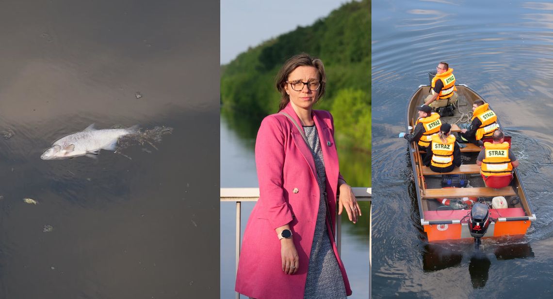 Strażacy znowu wezwani do wyławiania śniętych ryb z Kanału Gliwickiego