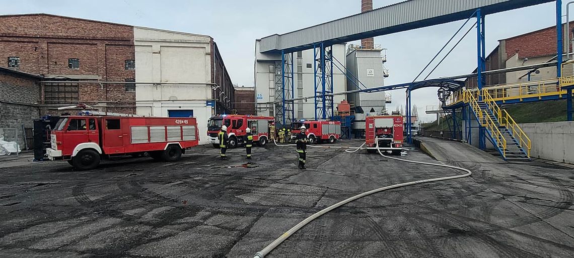 Strażacy zorganizowali triaż i udzielali KPP poszkodowanym Strażacy zorganizowali triaż i udzielali KPP poszkodowanym