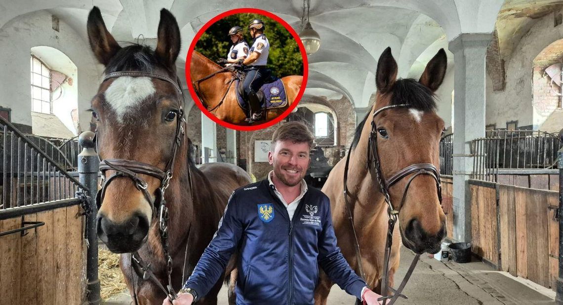 Strażnicy miejscy w siodle! W Kędzierzynie-Koźlu pojawią się konne patrole