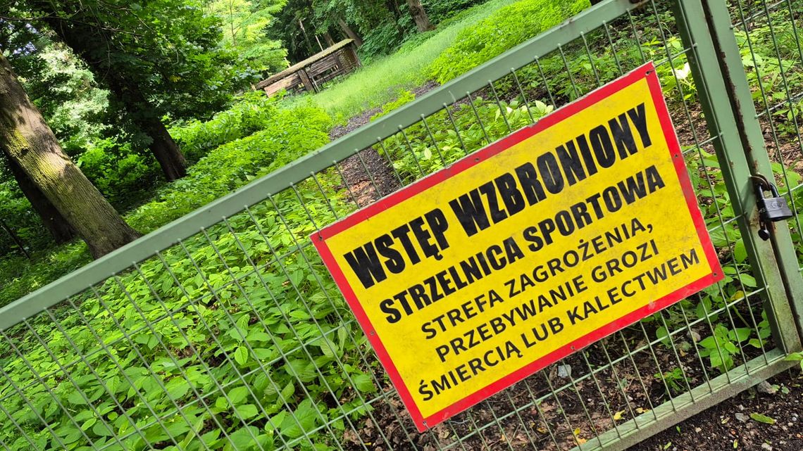 Według radnej, strzały oddawane w Koźlu było słychać aż na Blachowni i to one wypłoszyły dziki