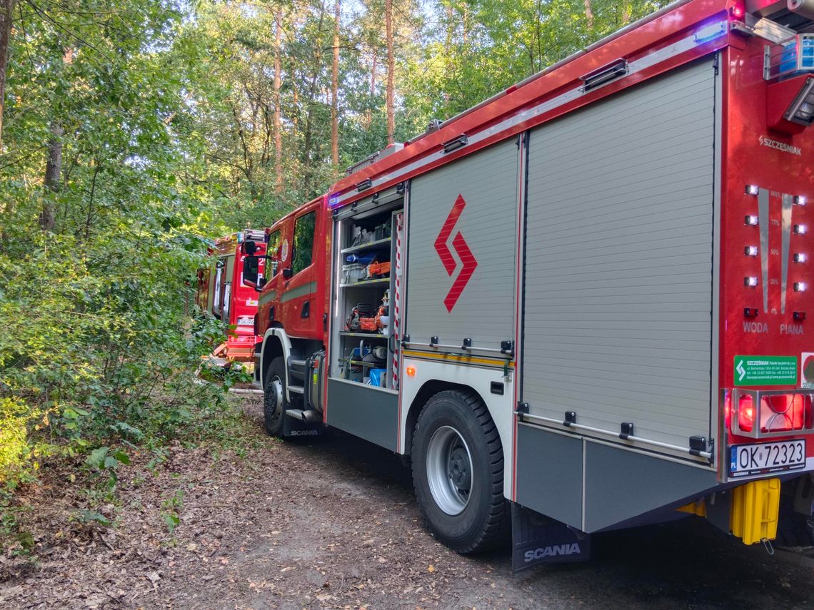 Pożar lasu w Śródmieściu - działania gaśnicze wciąż trwają. ZDJĘCIA