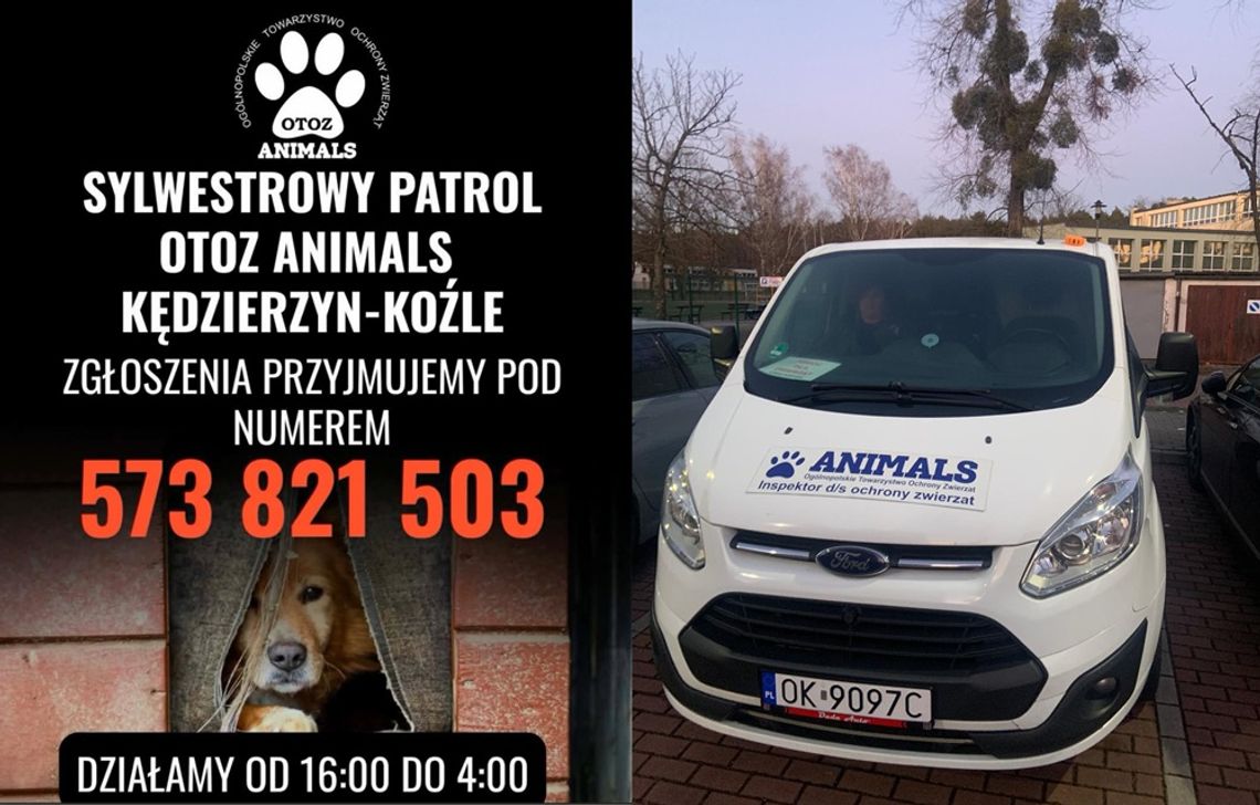 Sylwestrowy patrol OTOZ Animals w Kędzierzynie-Koźlu. Pomoc dla przestraszonych zwierząt