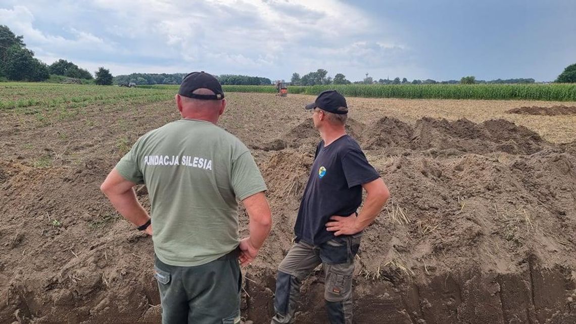 Szukają grobów żołnierzy z II wojny światowej. Fundacja Silesia ponownie w Długomiłowicach