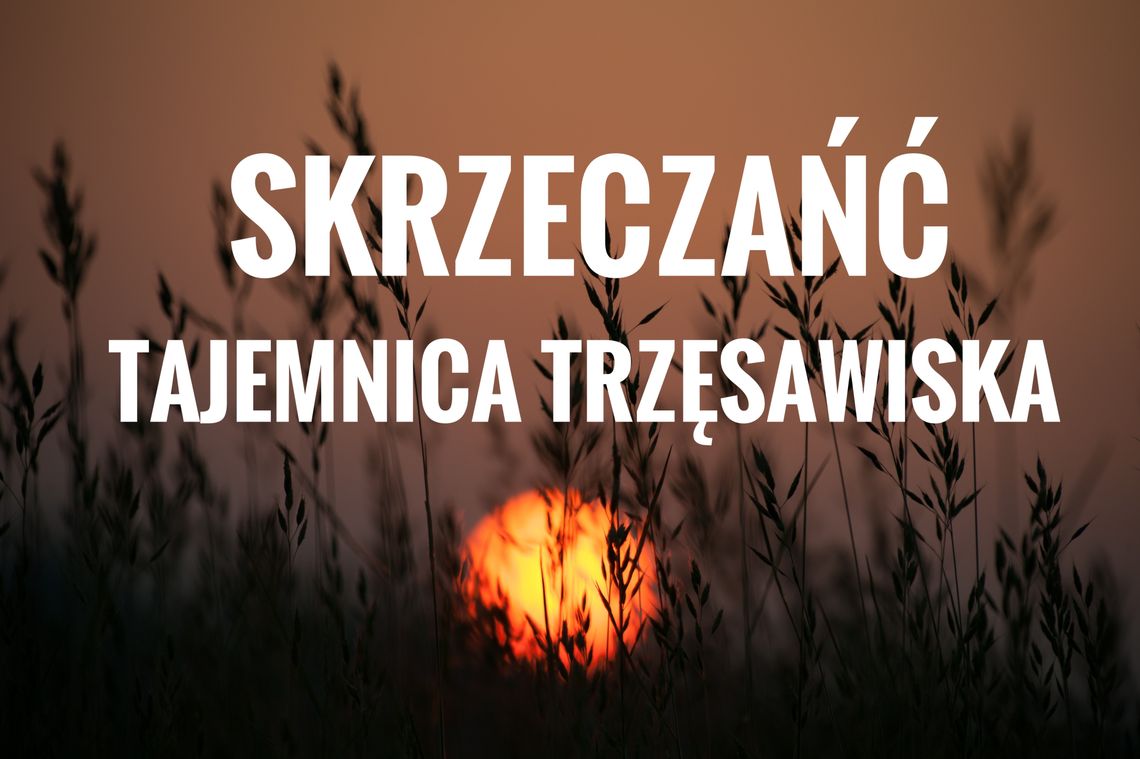 Szwedzkich żołnierzy pochłonęły ciseckie bagna. FILM