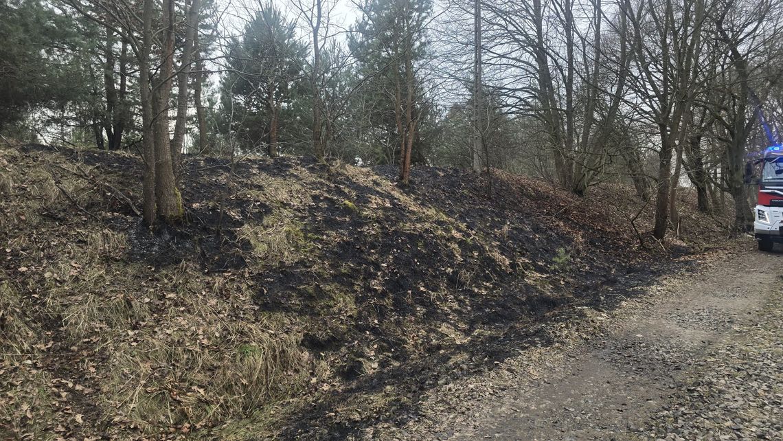 Szybka reakcja służb zapobiegła rozprzestrzenianiu się ognia. ZDJĘCIA