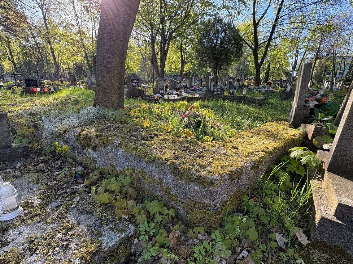 Tajemnicza konstrukcja na śródmiejskim cmentarzu. ZDJĘCIA