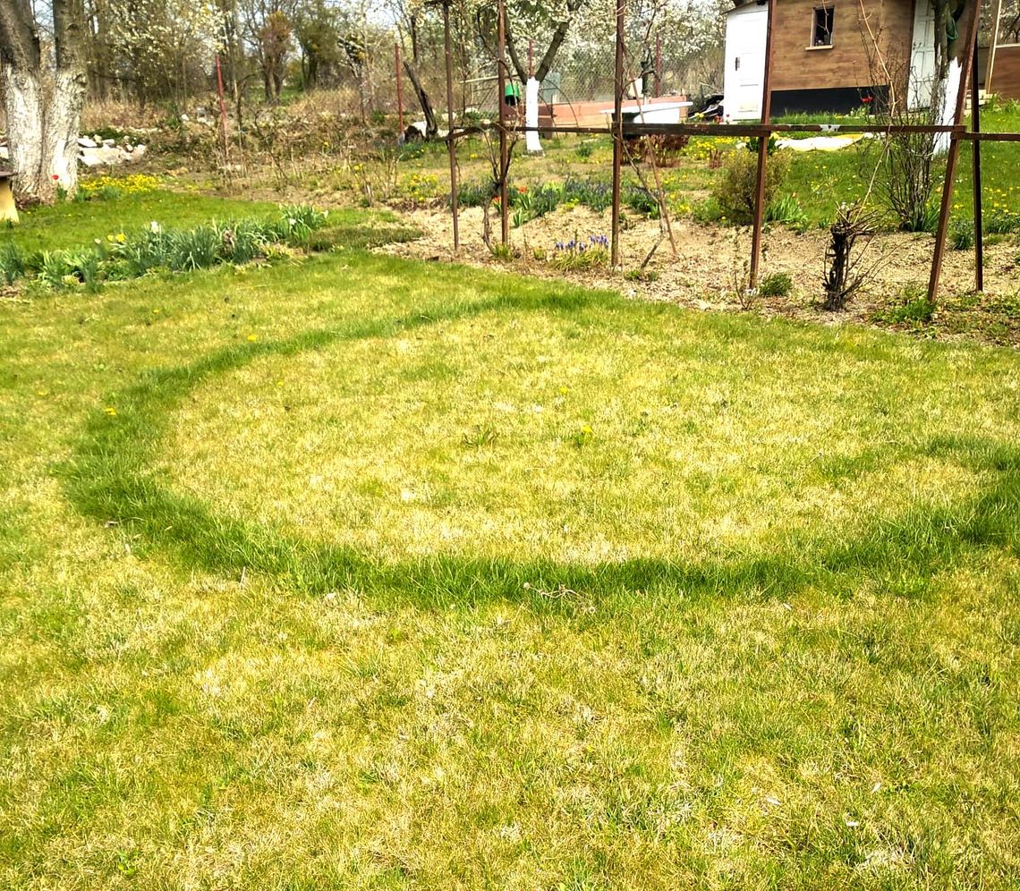 Tajemnicze kręgi na kozielskim ogródku działkowym Tajemnicze kręgi na kozielskim ogródku działkowym