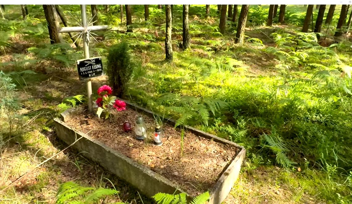 Tajemniczy grób w środku lasu. Kto w nim spoczywa? FILM Tajemniczy grób w środku lasu. Kto w nim spoczywa? FILM