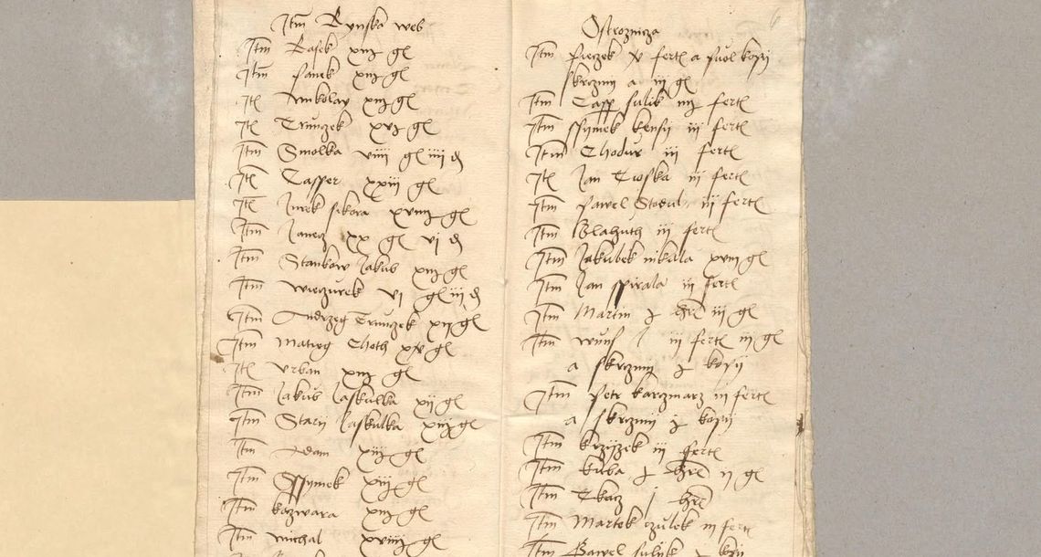 Tak nazywali się niektórzy mieszkańcy Reńskiej Wsi 500 lat temu Tak nazywali się niektórzy mieszkańcy Reńskiej Wsi 500 lat temu