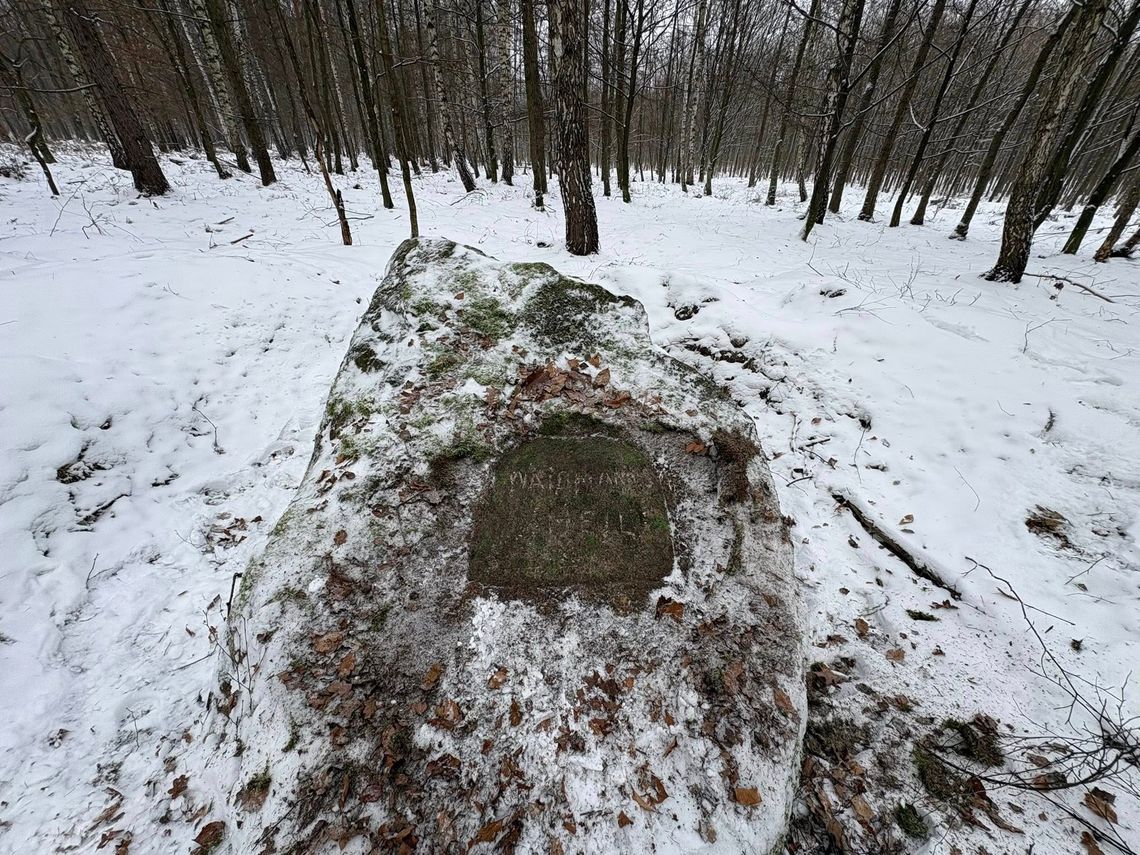 Tak niegdyś życzono myśliwym szczęścia przed polowaniem. ZDJĘCIA