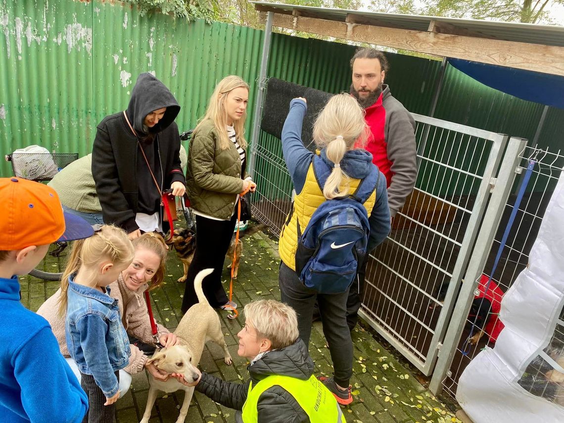 Tego się nie spodziewali. Powalająca frekwencja i deklaracje adopcji. ZDJĘCIA