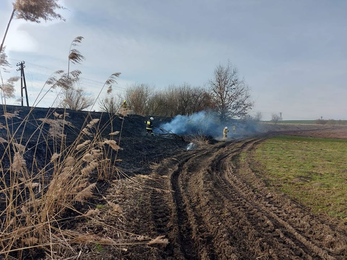 Trzy pożary jednego dnia. Podpalacz nie odpuszcza Trzy pożary jednego dnia. Podpalacz nie odpuszcza