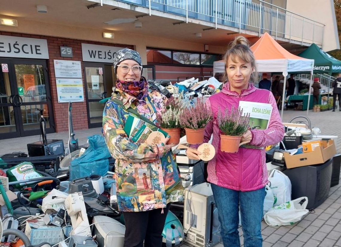 To ostatnia akcja wymiany elektroodpadów na sadzonki w tym roku