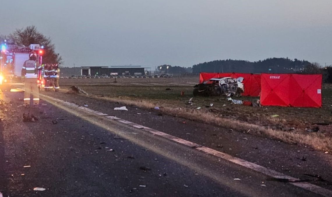 Tragiczny wypadek na drodze 88. Zginęły trzy osoby, w tym dziecko